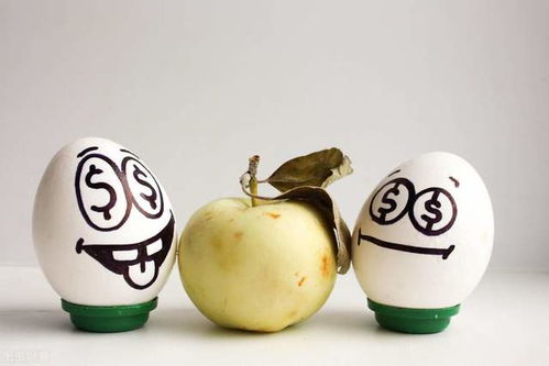 2021年食品经营许可证办理全攻略 创孵猫解析关键步骤与注意事项